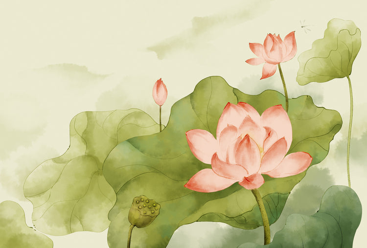 Lotus & Mud